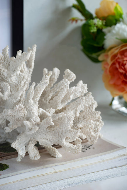 Classic Coral White-Bibilo
