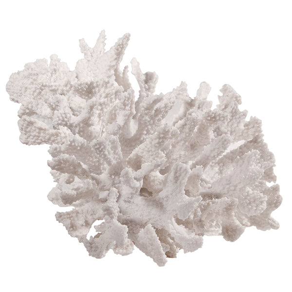Classic Coral White-Bibilo