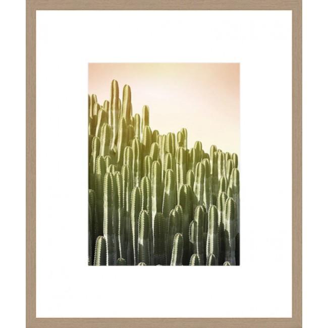 Pink Sky Cactus Framed Print-Bibilo